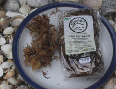 Seaveg Carrageen on plate with package Picture